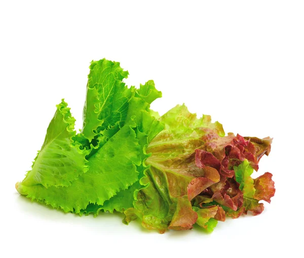 Fresh green lettuce leaves isolated on white — Stock Photo, Image