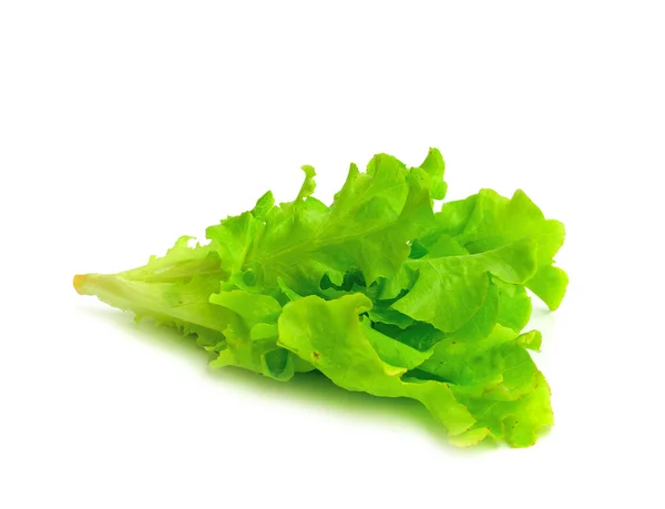 Frische grüne Salatblätter isoliert auf weiß — Stockfoto