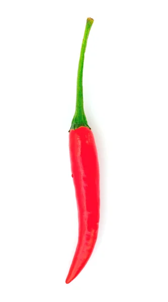 Pimentos de pimentão quente isolados sobre fundo branco — Fotografia de Stock