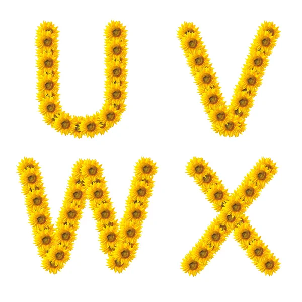 Sunflower alphabet isolated on white background — Stock Photo, Image