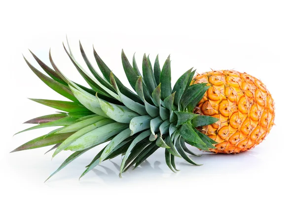 Спелый ананас — стоковое фото