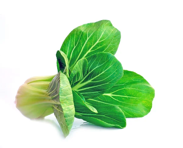 Bok choy (cavolo cinese) isolato su bianco — Foto Stock