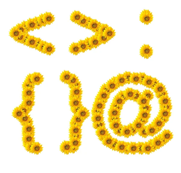 Symbol słonecznika na białym tle — Zdjęcie stockowe