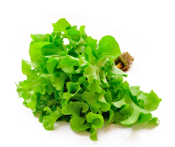 Frische grüne Salatblätter — Stockfoto