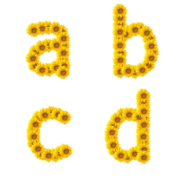 Sunflower alphabet isolated on white background — Stock Photo, Image