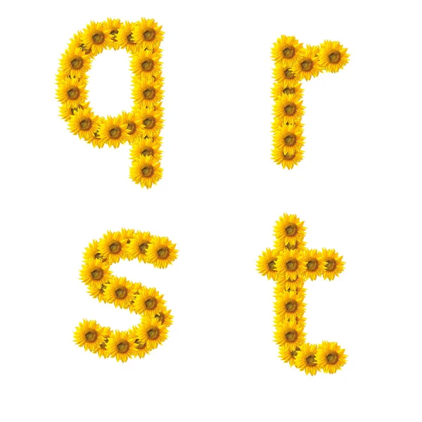 Sunflower alphabet isolated on white background — Stock Photo, Image