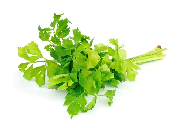 Celery on white background — Stock Photo, Image