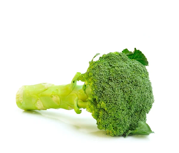 Broccoli on white background — Stock Photo, Image