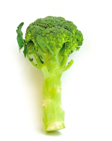 Broccoli på vit bakgrund — Stockfoto