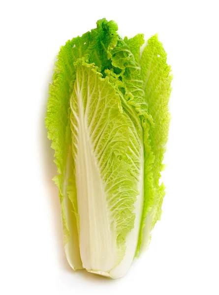 Cabbage isolated on white — Stock Photo, Image