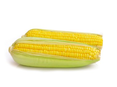 Beyaz arkaplanda mısır