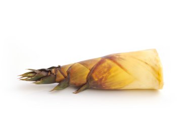 Bambu sürgün üzerinde beyaz izole