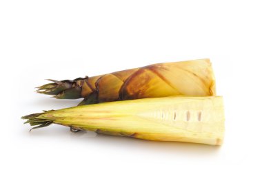 Bambu sürgün üzerinde beyaz izole