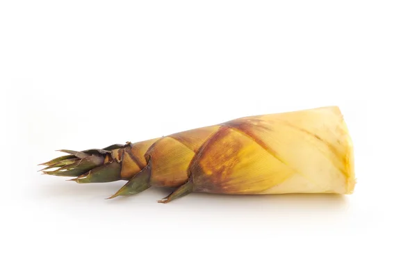 Bamboo shoot isolated on white — Stock Photo, Image