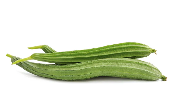 Zucchini on white background — Stock Photo, Image