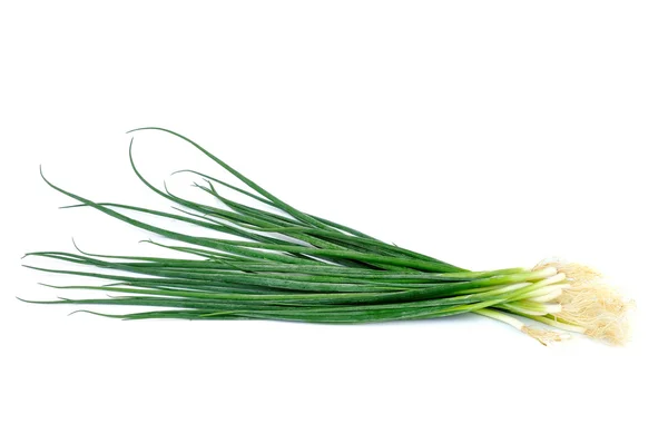 Green Onion — Stock Photo, Image