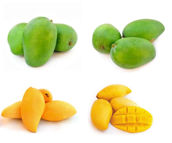 Mango giallo e verde isolato su fondo bianco — Foto Stock