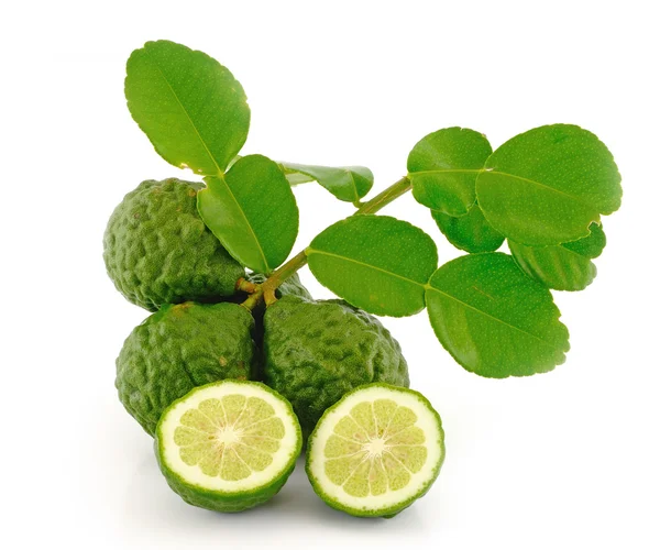 Kaffir Lime with leaves — Stock Photo, Image