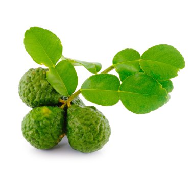 Güney Afrika'da bir kabile kireç yaprakları