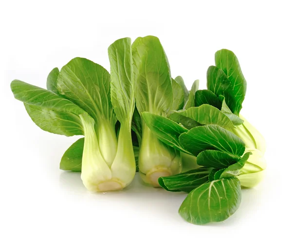 Bok choy (chinese cabbage) isolated on white — Stock Photo, Image