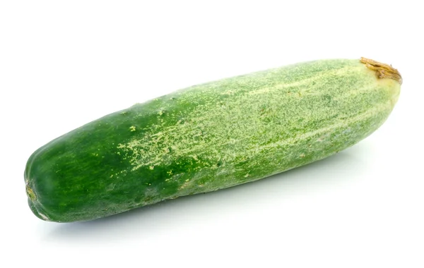 Cucumberisolated over white background — Stock Photo, Image