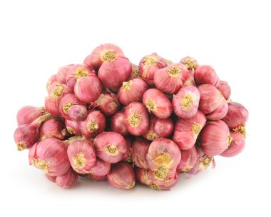 Beyaz arka plan üzerinde izole bir grup soğancık soğan.