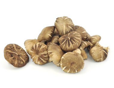 mushrooms on white clipart