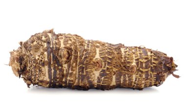 taro kökleri beyaz üzerine