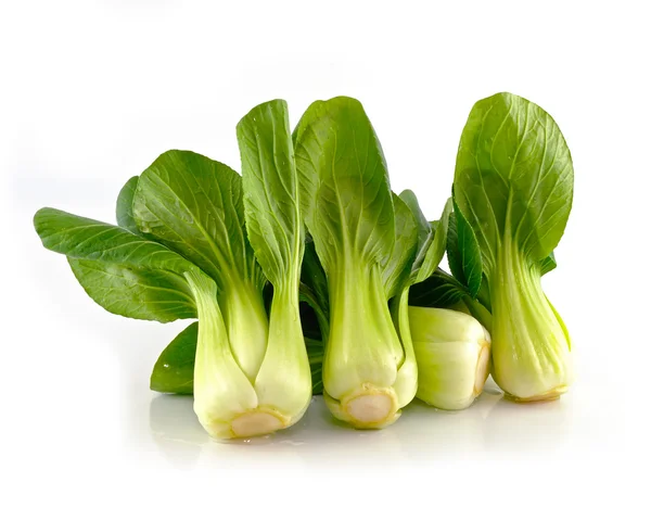 Bok choy (chinese cabbage) isolated on white — Stock Photo, Image