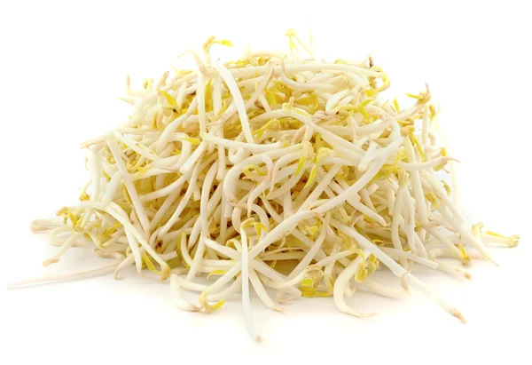 Bean Sprouts on White Background — Stock Photo, Image