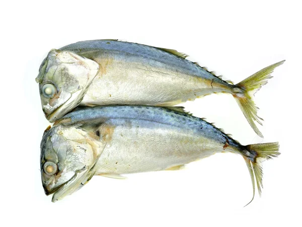 Ikan mackerel segar diisolasi pada latar belakang putih — Stok Foto