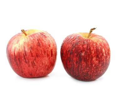 Elma beyaz üzerine izole