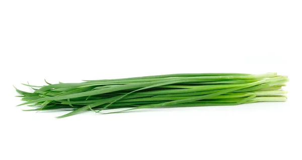 Leek on white background — Stock Photo, Image