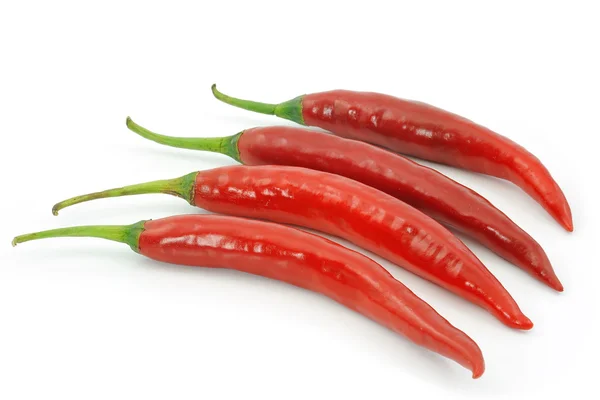 Red hot chili pepper isolated on a white background — Stock Photo, Image