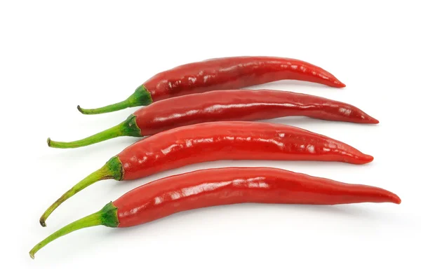 Pimentos de pimentão quente isolados em branco — Fotografia de Stock