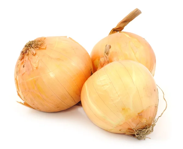 Ripe onion on a white background — Stock Photo, Image