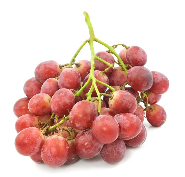 Red grape isolated on white — Stock Photo, Image