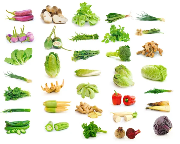 Collection de légumes isolée sur fond blanc . — Photo