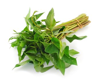 sabah beyaz arka plan üzerinde izole zafer