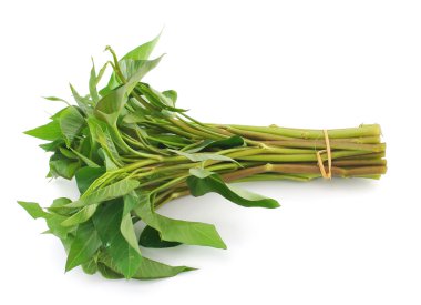 sabah beyaz arka plan üzerinde izole zafer