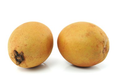 Beyaz arka plan üzerinde sapodilla meyve.