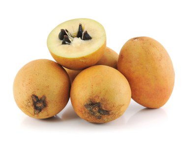Beyaz arka plan üzerinde sapodilla meyve.