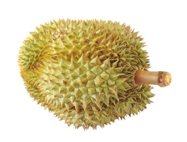 Durian beyaz arkaplanda izole edildi