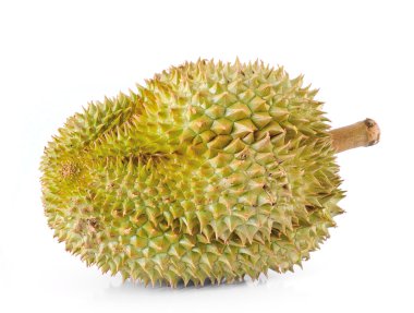 Durian beyaz arkaplanda izole edildi
