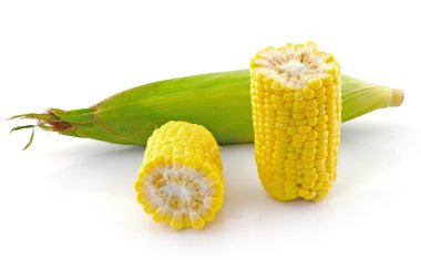 Beyaz arkaplanda mısır