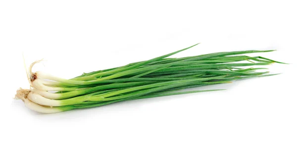 Green Onion on white background — Stock Photo, Image
