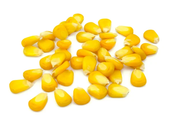 Солодке ціле ядро кукурудзи — стокове фото