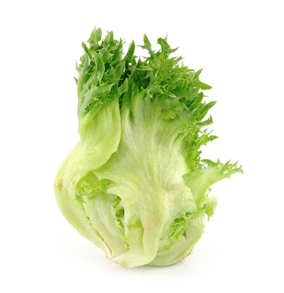 Lettuce on white background — Stock Photo, Image