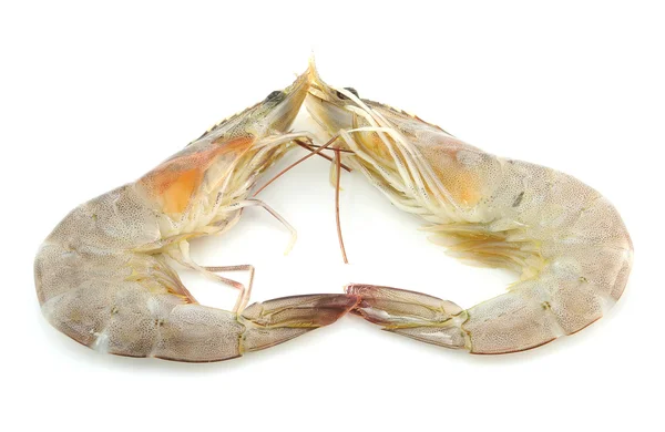 Raw shrimp — Stock Photo, Image