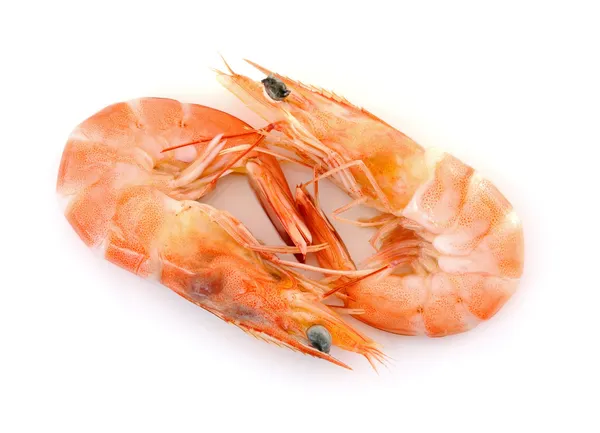 Shrimps on a white background — Stock Photo, Image